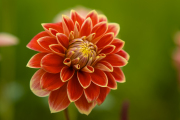 XT5F6421