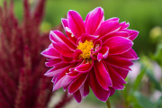 XT5F6422