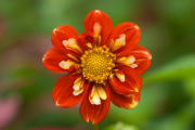 XT5F6423