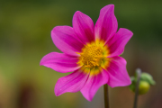 XT5F6424