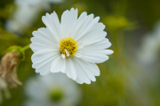 XT5F6449