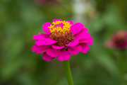 XT5F6454