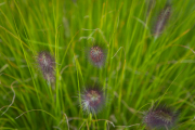 XT5F6465