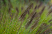XT5F6467