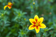 XT5F4782