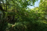 DSCF4435