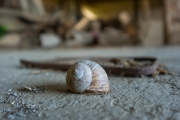 DSCF4482