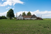 DSCF4503