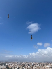 102