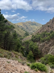 103a