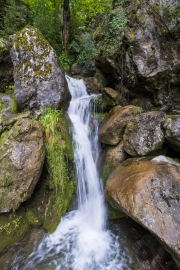 DSCX8913
