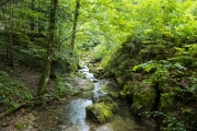 DSCX8915