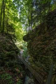 DSCX8924