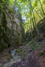 DSCX8927