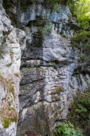 DSCX8938