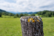 DSCX8949