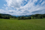 DSCX8951