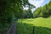 DSCX8953