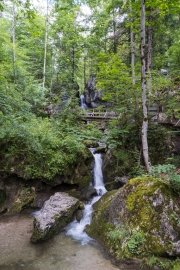 DSCX8955