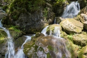 DSCX8960