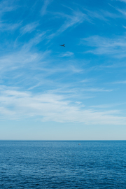 XT5F5206