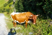 DSC01645