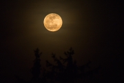 Woche 17 - Vollmond