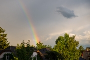 Woche 31 - Regenbogen