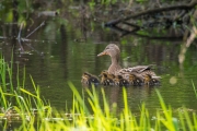 Woche 20 - Familienausflug