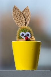 Woche-17-Ostern