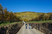 Woche-42-Herbstspaziergang