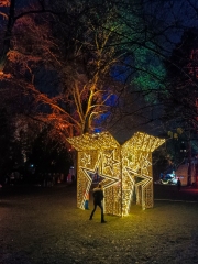 Woche 50 - Weihnachten im Park