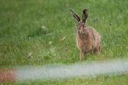 Woche 14 - Ostern