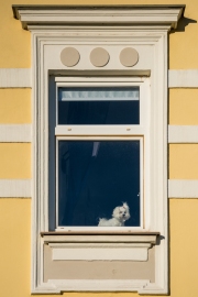 Woche 21 - Fenstergucker