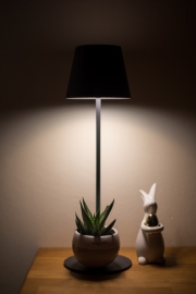 Woche 16 - Frohe Ostern