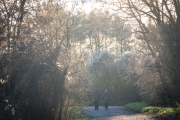 Woche 2 - Walk in the Park