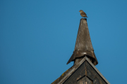 Woche 29 - On Top