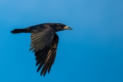 Woche 3 - Im Flug