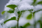 Woche 46 - Der erste Schnee