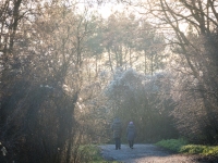 Woche 2 - Walk in the Park