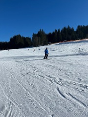 Schifahren
