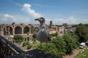 Forum Romanum