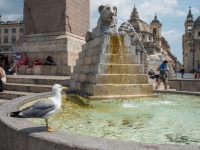 Piazza del Popolo