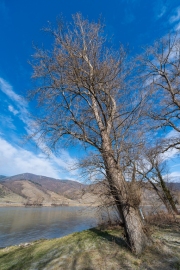 DSCF5791