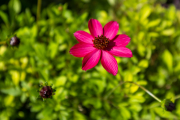 XT5F3752