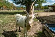 XT5F3779-2