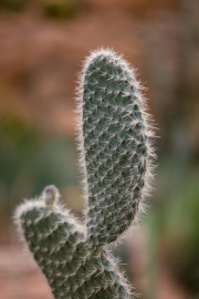XT5F6718