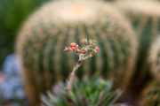XT5F6719