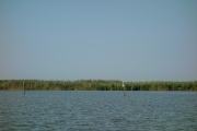 DSC02390