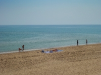 DSC02424
